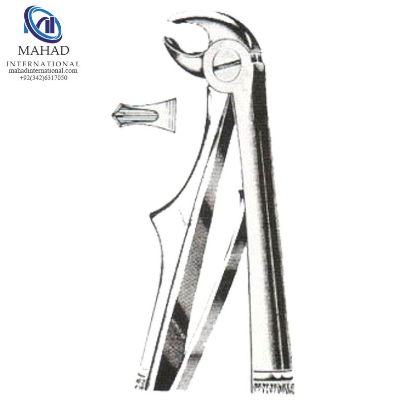 Lower Molars